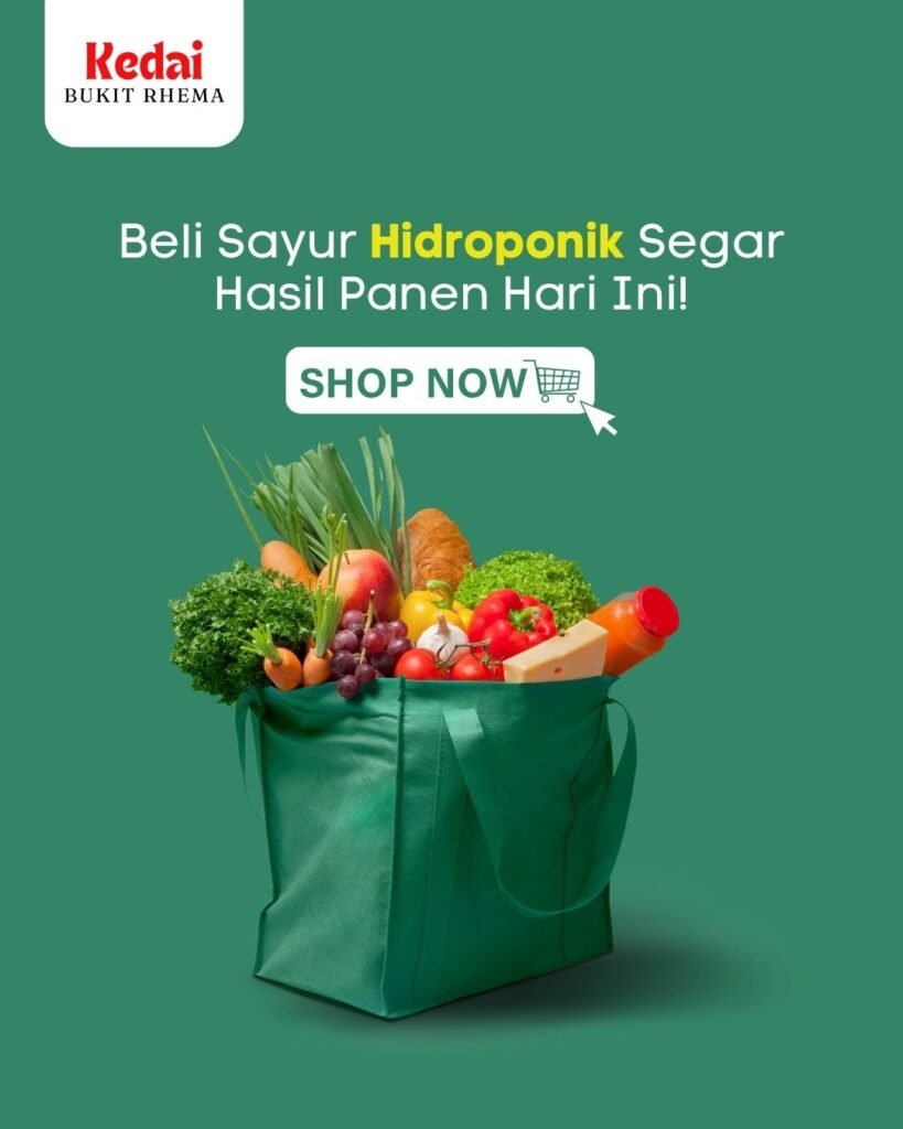 Beli Hidroponik Untuk Area Borobudur Magelang
