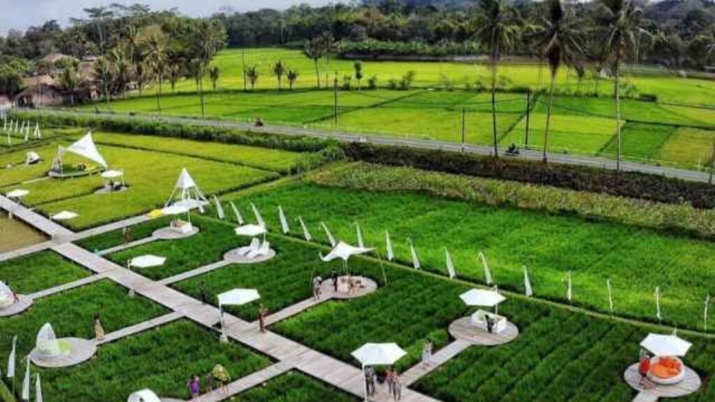 Svargabumi Borobudur – Makan + Foto