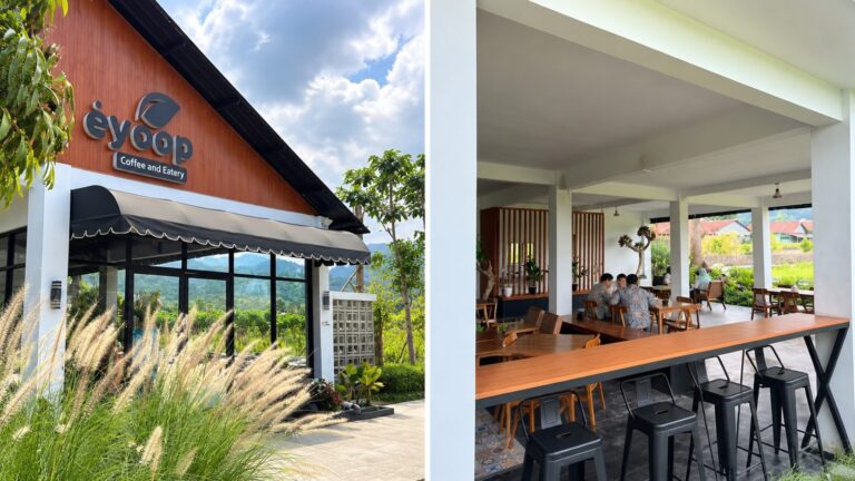 Kopi Sore View Sawah di Eyoop Cafe Borobudur